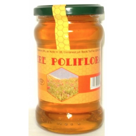 Miere Poliflora 400 gr