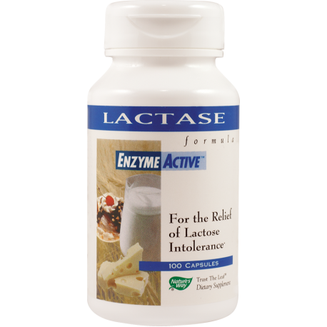 Lactase Enzyme Active