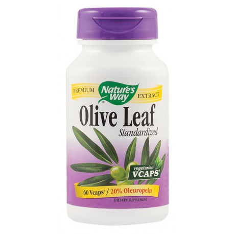 Olive Leaf 20% SE