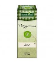 Polygremma nr. 3 50 ml Tuse